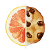 Logo W_O Txt - 1